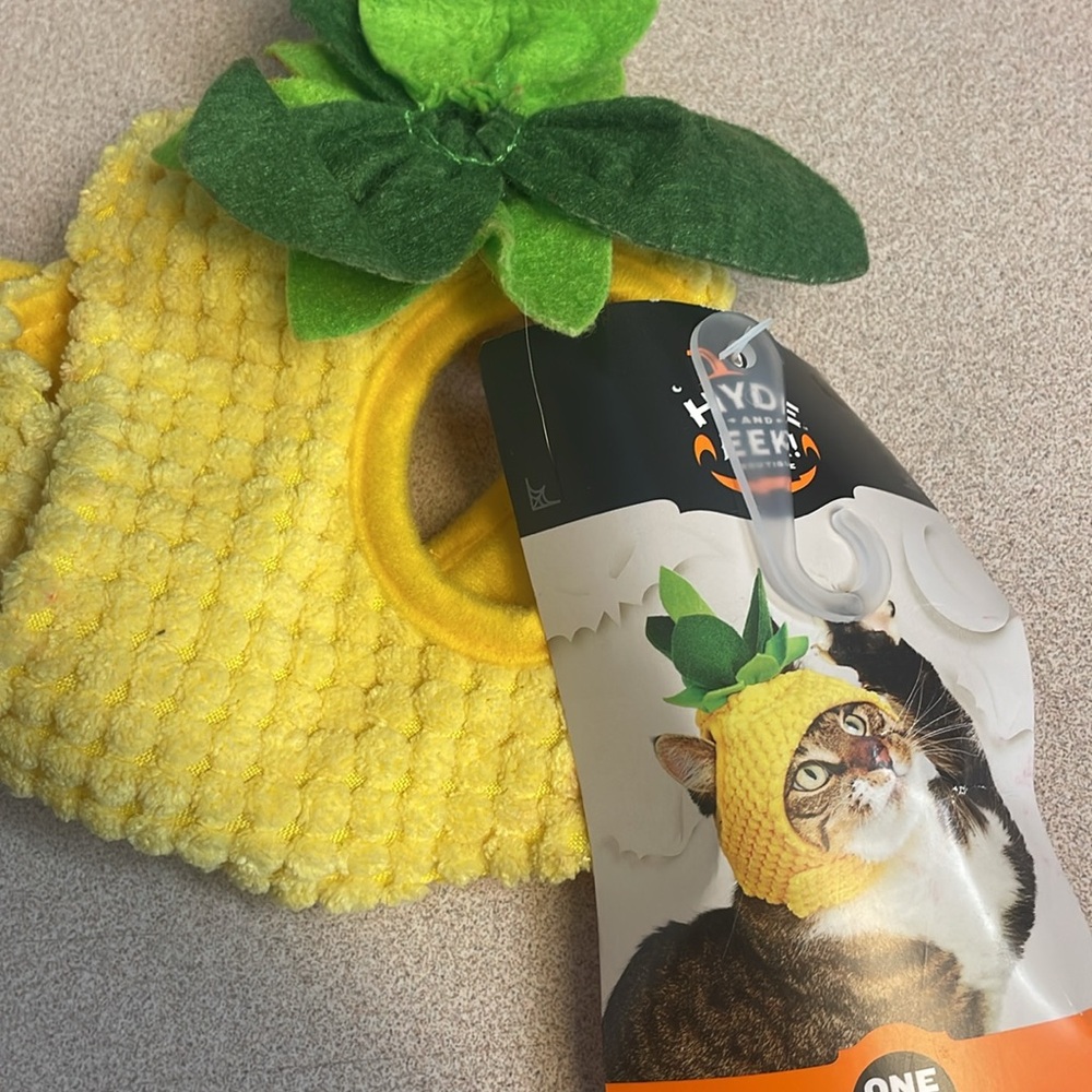 Cat hats - Picture 3 of 5